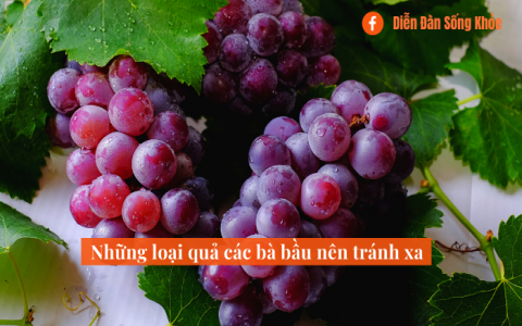 Điểm danh 5 loại hoa quả bà bầu không nên ăn trong suốt thai kỳ